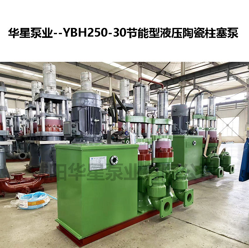 YBH250-30節(jié)能型液壓陶瓷柱塞泵-15 YBH250-30節(jié)能型液壓陶瓷柱塞泵-15