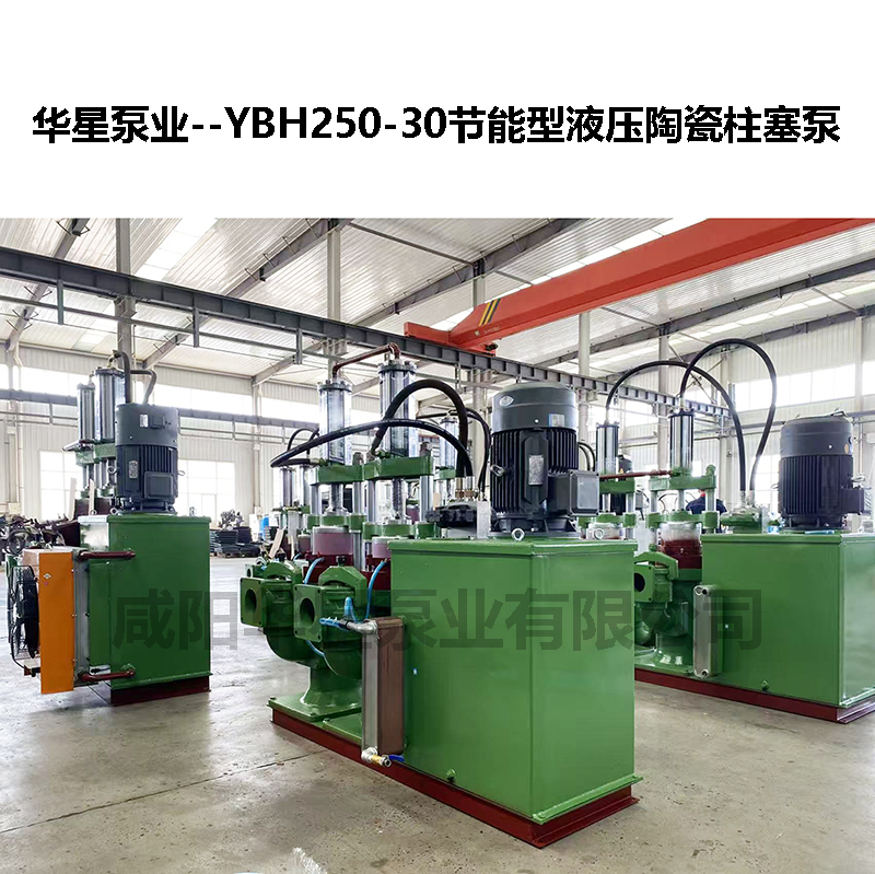 YBH250-30節(jié)能型液壓陶瓷柱塞泵-14 YBH250-30節(jié)能型液壓陶瓷柱塞泵-14